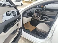 2024 BYD Qin PLUS Honor DM-i PHEV 55km Leading, белый — фото 16