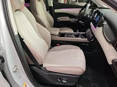 2023 BYD Yuan PLUS Champion 510km Excellence — фото 25