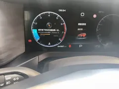 2021 Tank 300 Off-road 2.0T Conqueror — фото 8