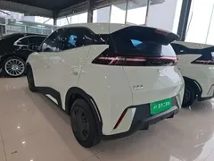 2024 BYD Seagull Honor 305km Vitality, белый — фото 5