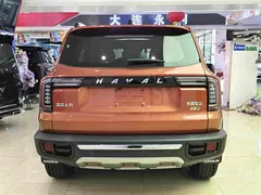 2021 Haval Dargo 2.0T DCT 4WD — фото 15