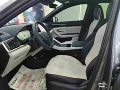 2024 BYD Song PLUS EV 520km Luxury Honor Edition — фото 4