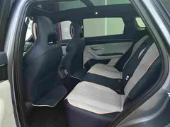 2024 BYD Song PLUS EV 520km Luxury Honor Edition — фото 5
