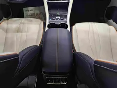 2024 BYD Song PLUS EV 520km Luxury Honor Edition — фото 9