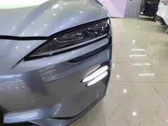 2024 BYD Song PLUS EV 520km Luxury Honor Edition — фото 11
