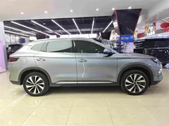 2024 BYD Song PLUS EV 520km Luxury Honor Edition — фото 13