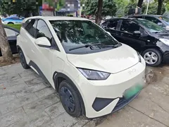 2025 BYD Seagull EV 305km, белый — фото 4