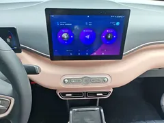 2025 BYD Seagull EV 305km, белый — фото 13