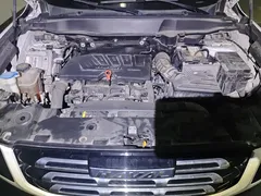 2021 Haval Dargo 1.5T DCT 2WD Border Collie, белый — фото 10