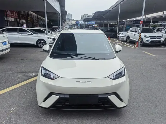 2024 BYD Seagull Honor 305km Vitality