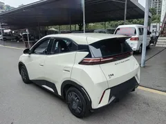 2024 BYD Seagull Honor 305km Vitality, белый — фото 13