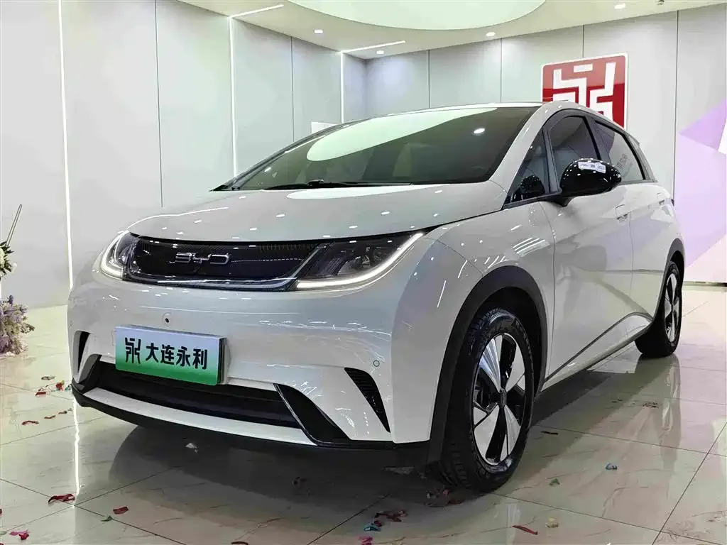 2023 BYD Dolphin 420km Fashion