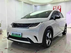 2023 BYD Dolphin 420km Fashion — фото 1