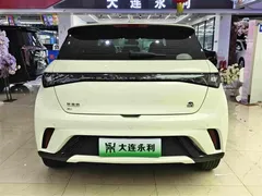 2023 BYD Dolphin 420km Fashion — фото 14