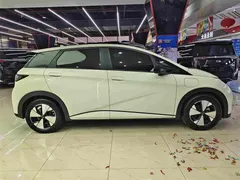 2023 BYD Dolphin 420km Fashion — фото 16