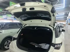 2025 BYD Dolphin 420km Freedom, белый — фото 19