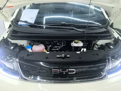 2025 BYD Dolphin 420km Freedom, белый — фото 20