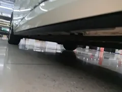 2025 BYD Dolphin 420km Freedom, белый — фото 22