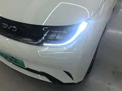 2025 BYD Dolphin 420km Freedom, белый — фото 24