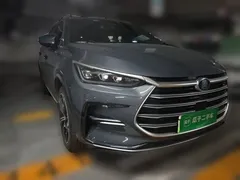 2021 BYD Tang DM-i PHEV 112km Premium — фото 3
