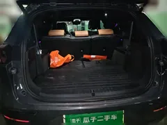2021 BYD Tang DM-i PHEV 112km Premium — фото 20
