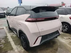 2025 BYD Seagull 305km Vitality — фото 5