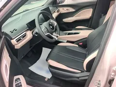 2025 BYD Seagull 305km Vitality — фото 15