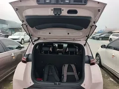 2025 BYD Seagull 305km Vitality — фото 19