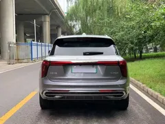 2022 Hongqi E-HS9 EV 660km 4-seat — фото 4
