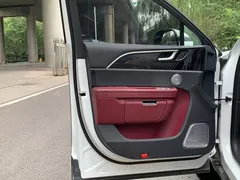 2022 Hongqi E-HS9 EV 660km 4-seat — фото 7