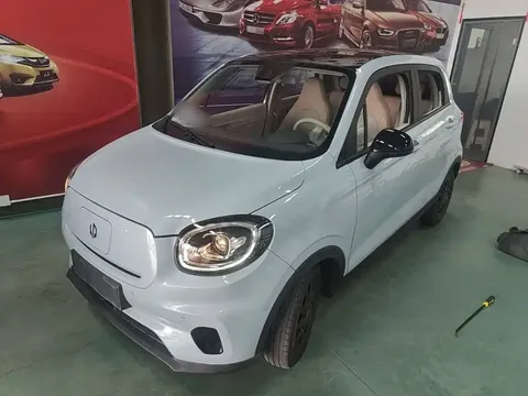 2023 Leapmotor T03 403