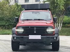 2021 Tank 300 Off-road 2.0T Conqueror — фото 2