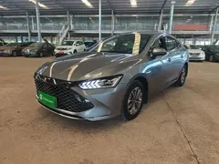 2024 BYD Qin PLUS Honor DM-i PHEV 55km Leading — фото 2