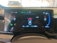 2024 BYD Qin PLUS Honor DM-i PHEV 55km Leading — фото 12