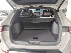 2025 BYD Song PLUS DM-i PHEV 112km Premium — фото 19