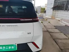 2024 BYD Seagull Honor 305km Vitality, белый — фото 8