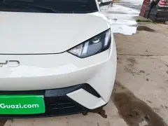 2024 BYD Seagull Honor 305km Vitality, белый — фото 24