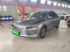 2024 BYD Destroyer 05 DM-i PHEV 55km Luxury — фото 2