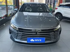 2024 BYD Destroyer 05 DM-i PHEV 55km Luxury — фото 2