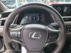 2020 Lexus ES 200 Excellence — фото 11