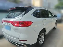 2021 Haval M6 Plus 1.5T DCT Luxury, белый — фото 4