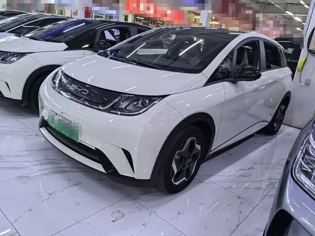 2021 BYD Dolphin 405km Fashion