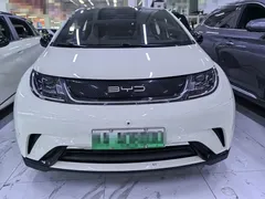 2021 BYD Dolphin 405km Fashion — фото 2