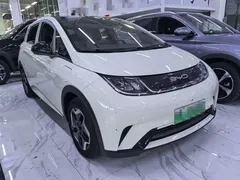 2021 BYD Dolphin 405km Fashion — фото 3