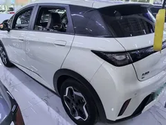 2021 BYD Dolphin 405km Fashion — фото 4