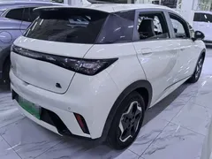2021 BYD Dolphin 405km Fashion — фото 6