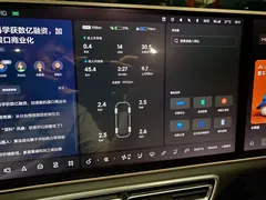 2025 Li Auto L8 Smart Refresh, чёрный — фото 6