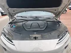2025 BYD Song PLUS DM-i 112KM PHEV Premium — фото 20