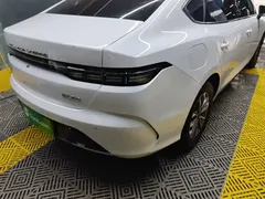 2024 BYD Destroyer 05 DM-i PHEV 55km Luxury, белый — фото 8