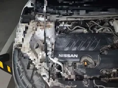 2022 Nissan Qashqai 2.0L CVT XV Prem Luxury, белый — фото 20